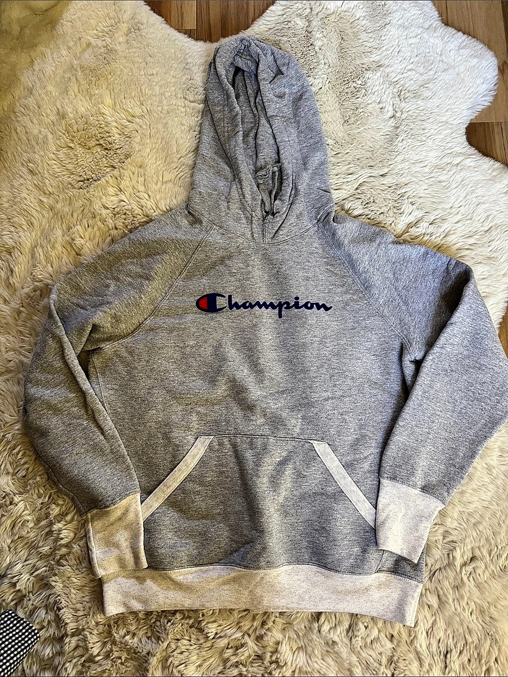 Champion Authentic Athleticwear Script Logo Pullover Hoodie Gray Size Medium